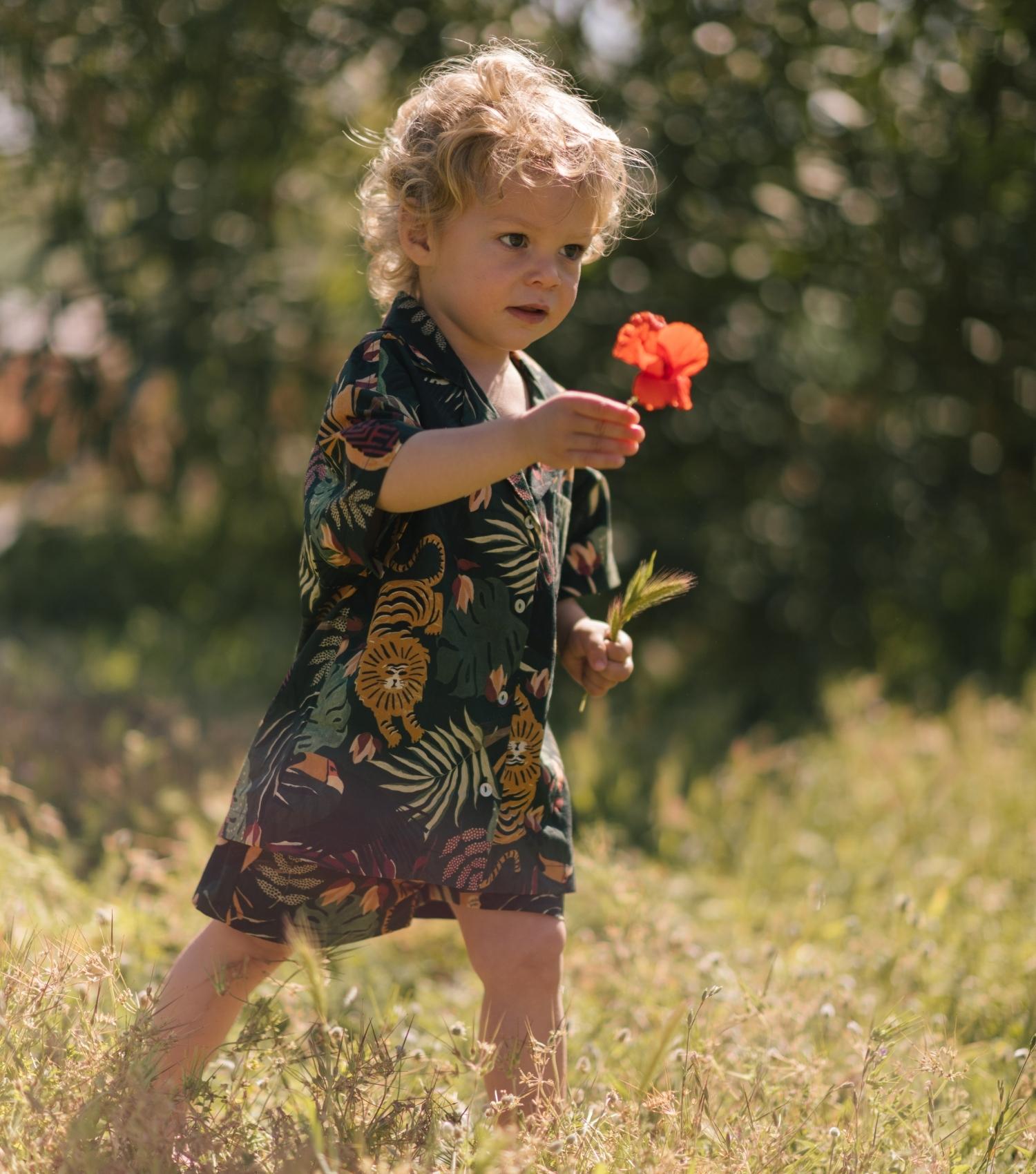 TROPICAL SHORTS